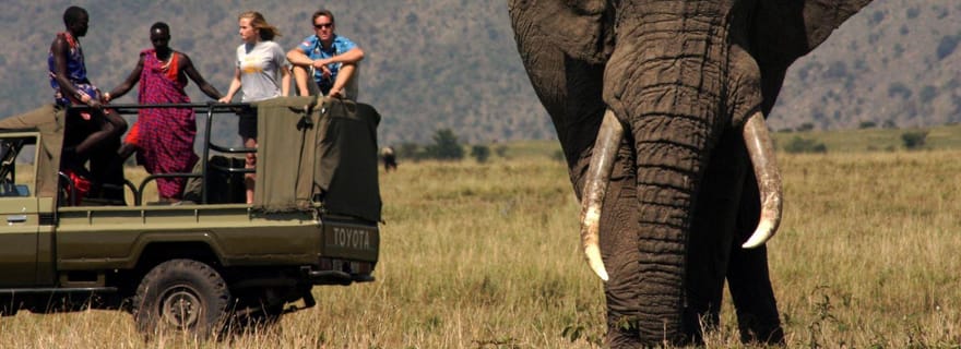 1/2 journée d'excursion à Hluhluwe Imfolozi Big 5 au départ de Richards Bay