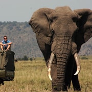 Johannesburg: Safari di 3 giorni nel Parco Nazionale Kruger con alloggio