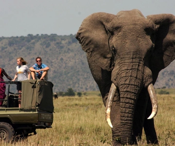 Half Day Tour Hluhluwe Imfolozi Game Reserve fr Richards Bay