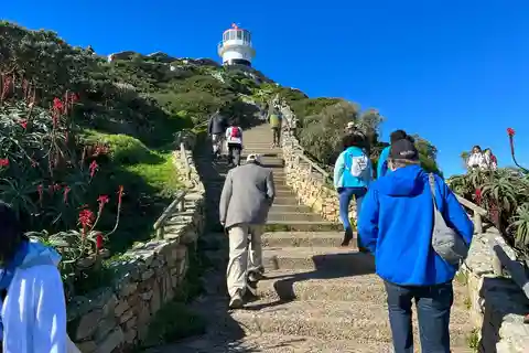 Cape Of Good Hope and Penguins viewing Private Day Tour