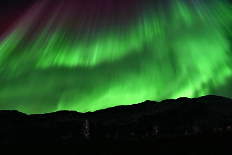 Tromsø: Northern Lights Tour with Free Professional Photos