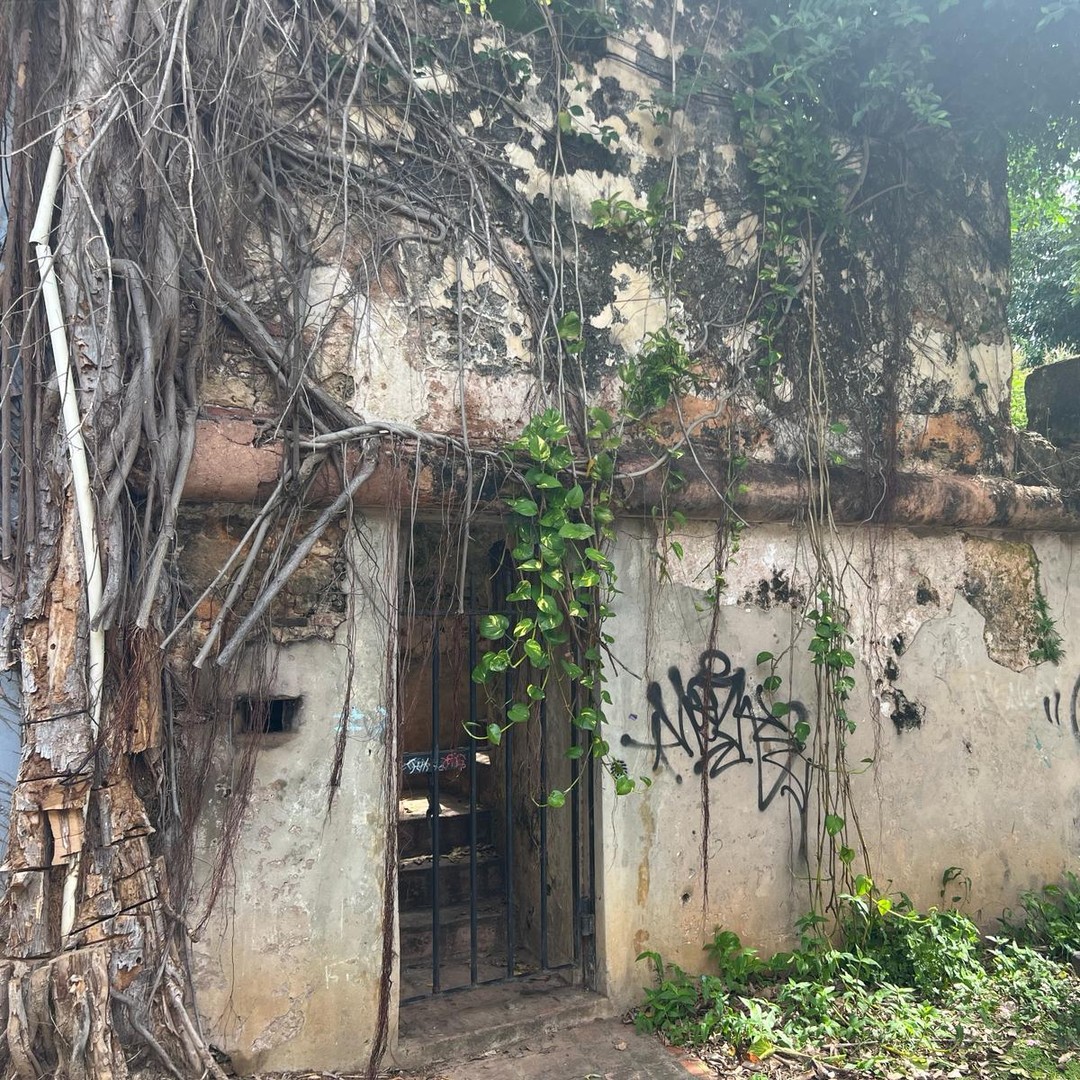 Colagem de mídia