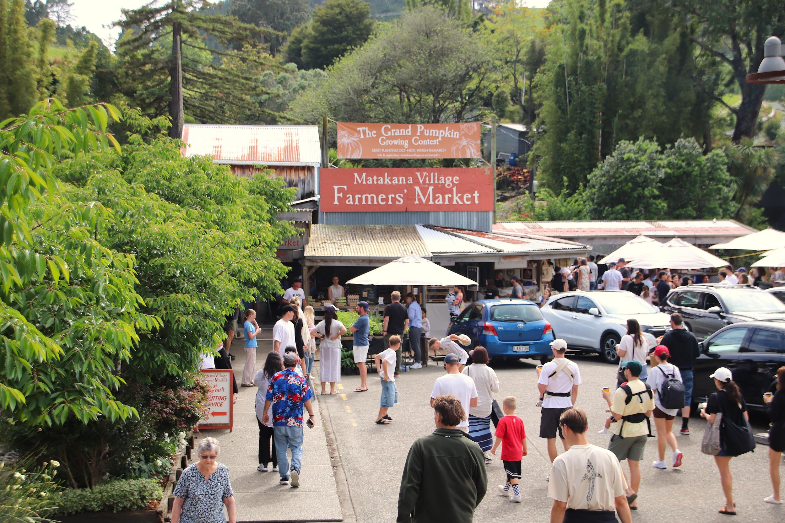 Auckland: Tour zum Matakana-Bauernmarkt (samstags)
