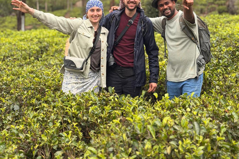 From Kandy to Nuwara Eliya & Moon Plains – Tuk‑Tuk Day Tour From Kandy: Moon Plains Highlands Viewpoint Experience