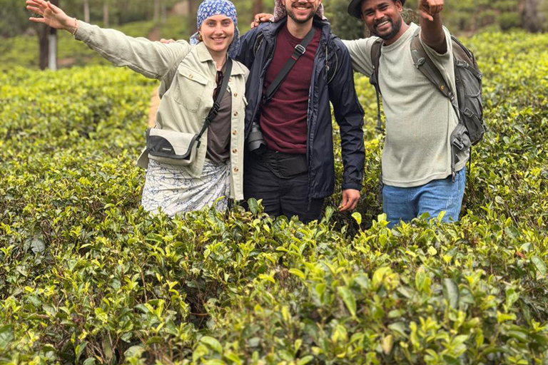 From Kandy to Nuwara Eliya & Moon Plains – Tuk‑Tuk Day Tour From Kandy: Moon Plains Highlands Viewpoint Experience