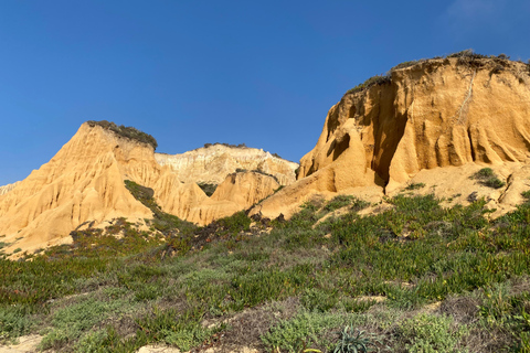 De l&#039;Algarve à Lisbonne ; transfert guidé avec supplément Wow !