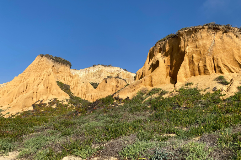 De l&#039;Algarve à Lisbonne ; transfert guidé avec supplément Wow !