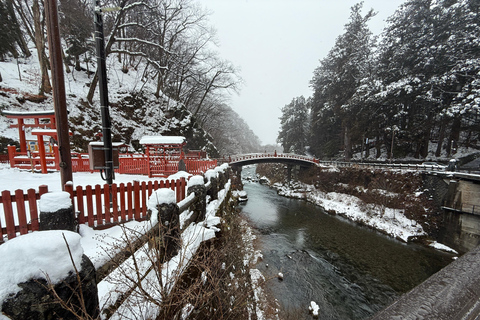 From Tokyo: Nikko World Heritage Sight Full Day Private Tour From Tokyo: Nikko World Heritage Sight Full-Day Private Tour