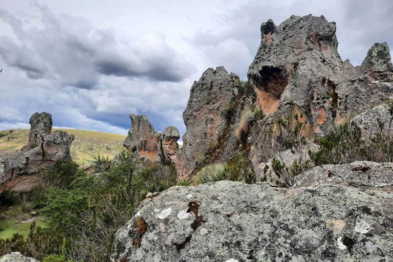 Huaraca - Explora la Enigmática Arboleda de Piedra