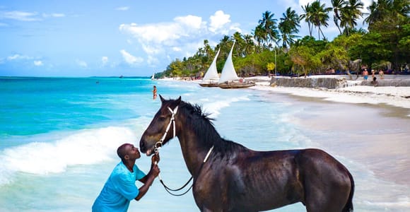 Zanzibar: Horseback Riding and Turtle Swimming Tour