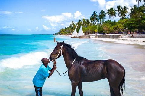 Zanzibar: Passeio a cavalo e natação com tartarugas