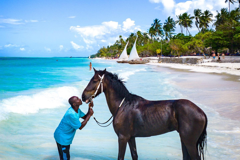 Zanzibar: Nadar com um cavalo e fazer um passeio de caiaque