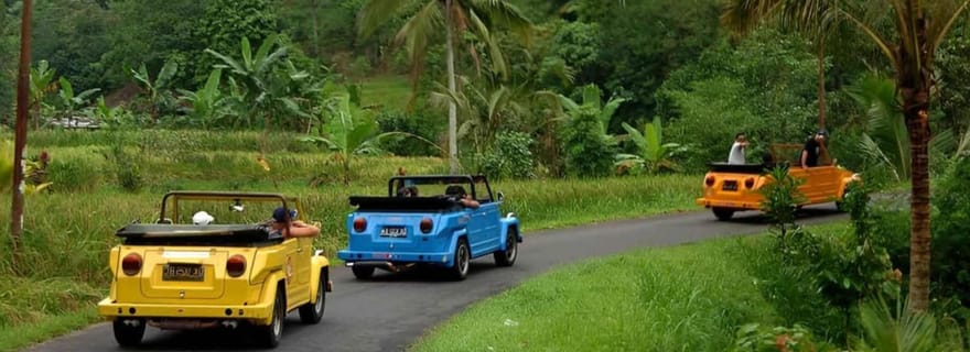 Borobudur : Safari privé dans la campagne en Volkswagen Thing