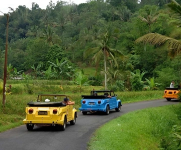 Borobudur: Private Volkswagen Thing Countryside Safari