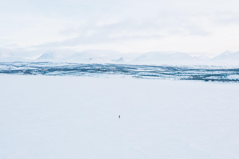 Abisko: Isfisketur på sjön Torneträsk