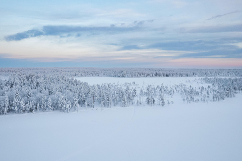 Rovaniemi: Siente la velocidad de los huskies