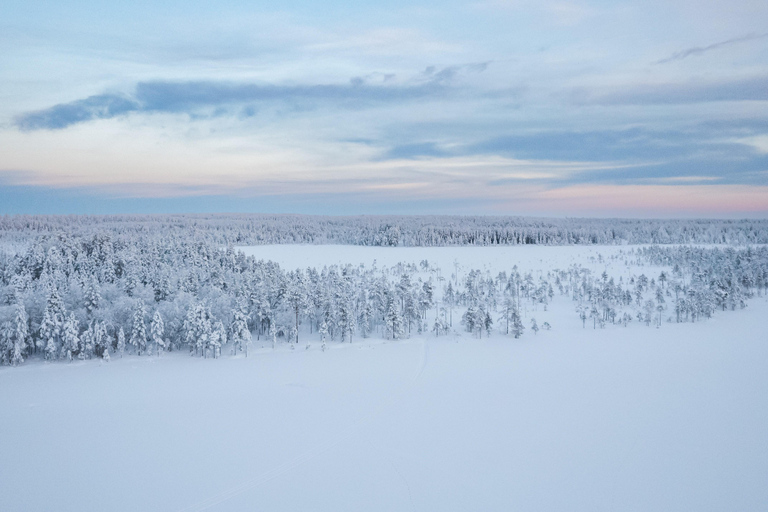 Rovaniemi: Sinta a velocidade dos huskies