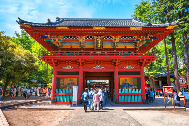 Best of Tokyo: Guided Full Day City Tour with Lunch