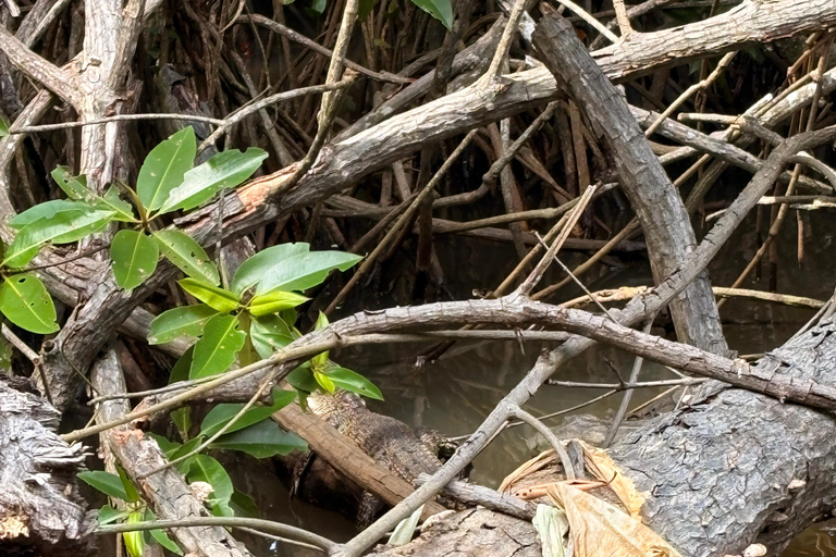 Bentota: River Boat Safari and Tuk-Tuk Ride with Pickup-Drop