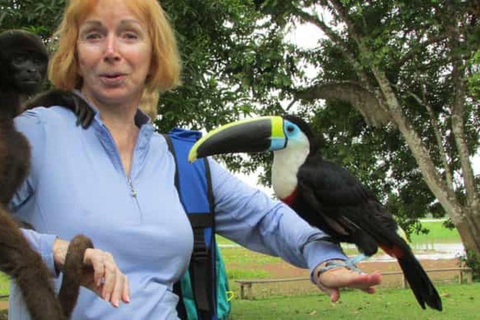 De Iquitos || Excursão à Ilha dos Macacos Dia inteiro ||