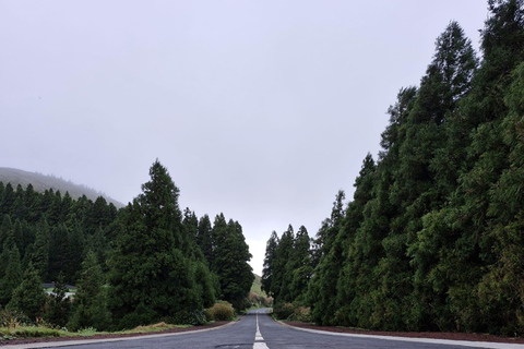 Sete Cidades and Lagoa do Fogo: tour of iconic lagoons and viewpoints