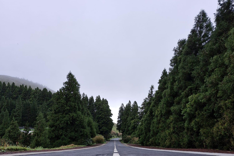 Sete Cidades and Lagoa do Fogo: tour of iconic lagoons and viewpoints