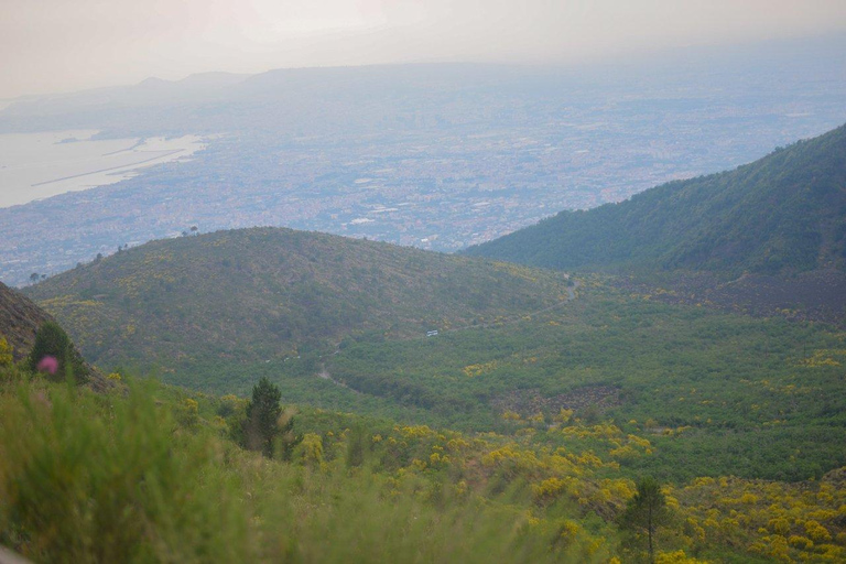 From Naples Pompeii & Mount Vesuvius Smart Tour with Tickets