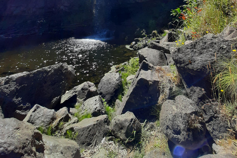 São Miguel: Moinho do Felix-Wanderung mit Besuch der Teefabrik