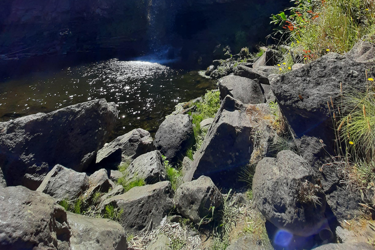 São Miguel: Moinho do Felix-Wanderung mit Besuch der Teefabrik