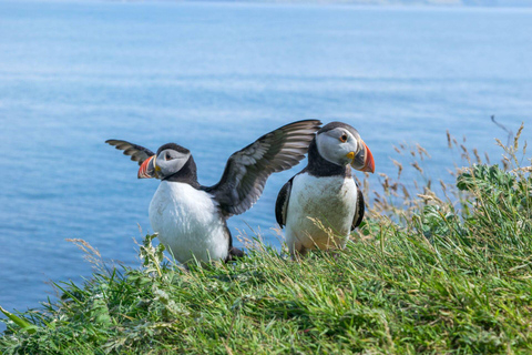 Inverness: Dunrobin Castle, John O’Groats & NC500 Tour Full day tour with Dunrobin Castle entry