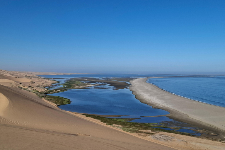 Swakopmund: Namib Desert Sunrise, Seals & Sandwich Harbour