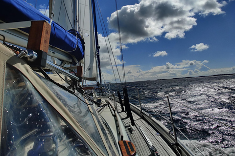 Turku Archipelago: 3-Hour Sailing Trip to Airisto with Sauna