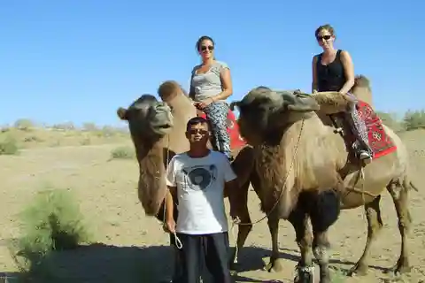 From Samarkand: 2-Day Yurt Camp Adventure with Camel Ride