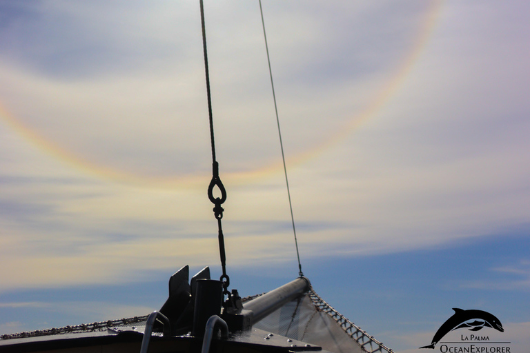 La Palma: 4 hours tour Bussard Classic