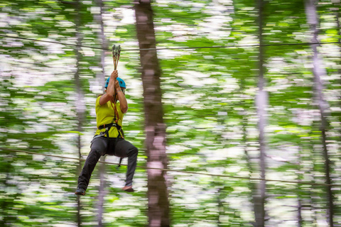 Vizzavona Canopy Walk Vizzavona Tree Climbing