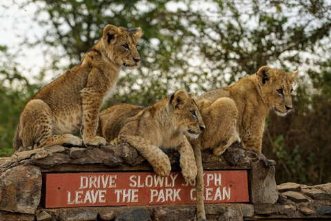 Nairobi Park ,Giraffe Center, Baby Elephant, Blixen Day Tour