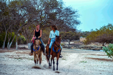 Cartagena, île de Tierra Bomba, randonnées à cheval