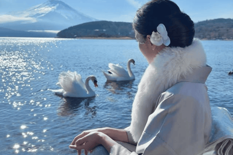 Tokyo: Mount Fuji Must See Private Tour Adjustable Itinerary