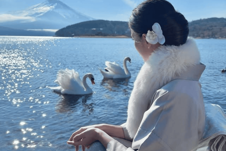 Tokyo: Mount Fuji Must See Private Tour Adjustable Itinerary