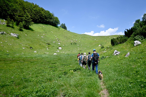 From Sarajevo: Treskavica Mountain Hiking Tour with Lunch