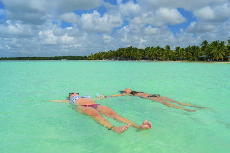 Punta Cana: Saona Island Day Trip with Blue Lagoon &amp; Lunch