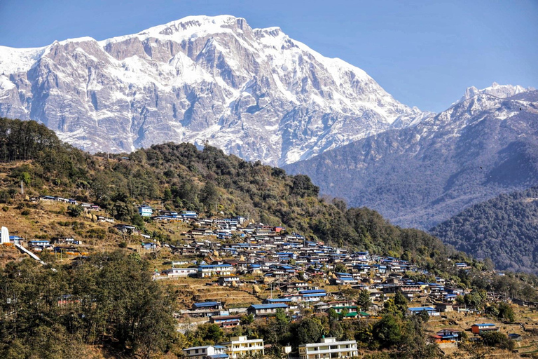 Au départ de Pokhara : 5 jours de randonnée au lac Kapuche Glacier et à la colline KoriTrek Kapuche Glacier Lake &amp; Kori Hill - 4 jours