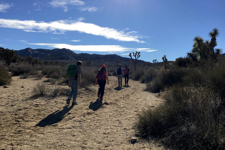 Von San Diego aus: 2-tägige Erkundung und Wanderung in Joshua Tree