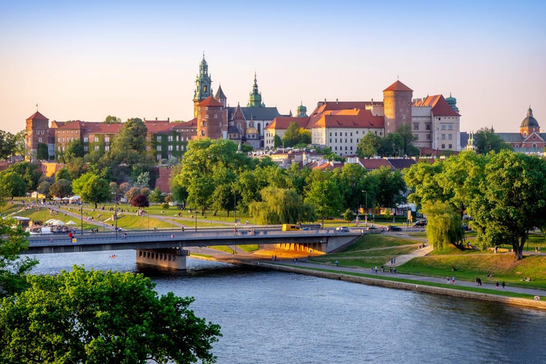Krakow: Wawel Castle and Cathedral Guided Tour Polish Tour
