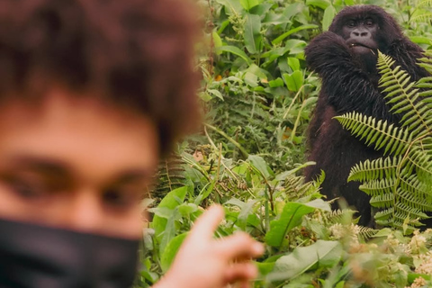 From Kigali: Gorilla Trekking in Rwanda & Diana Fossey Tour