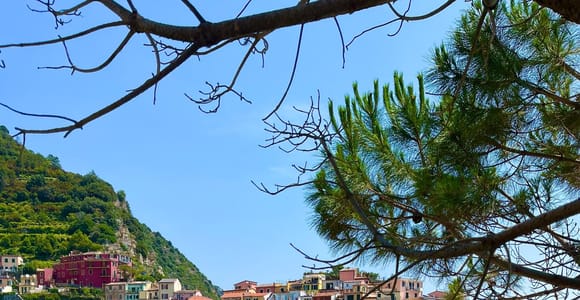 Cinque Terre Private Tour by Van from Lucca, Pisa or La Spezia