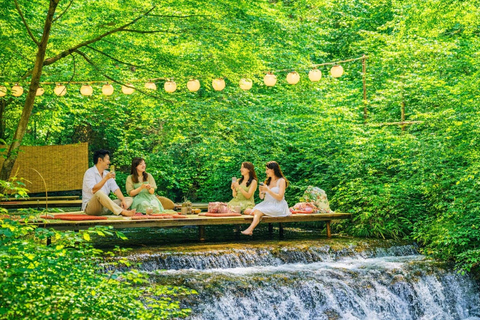 Kyoto: Private City Highlights Tour (Local Guide 6-Hour)