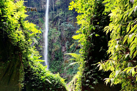 Arusha: Napuru Waterfall and Mount Meru Nature Walk