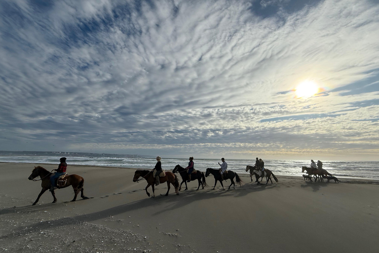 Vineyard, Valparaiso, Horseback Riding, Sea L &amp; BBQ Day Trip