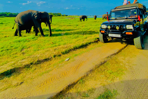 From Sigiriya-Hurulu Eco Park Jeep Safari Excluded tickets